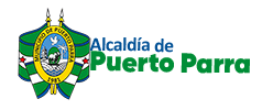 Municipio de Puerto Parra